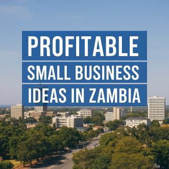 Top 25+ Profitable Small Business Ideas in Zambia You Can Start Today