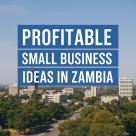 Top 25+ Profitable Small Business Ideas in Zambia You Can Start Today