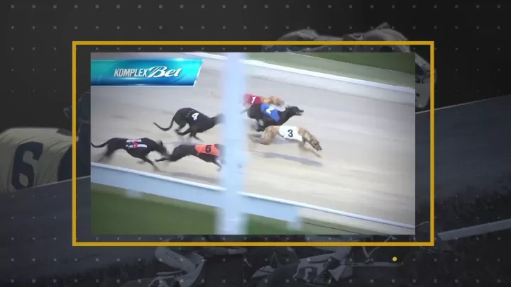 virtual horse racing software